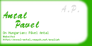 antal pavel business card