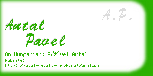 antal pavel business card